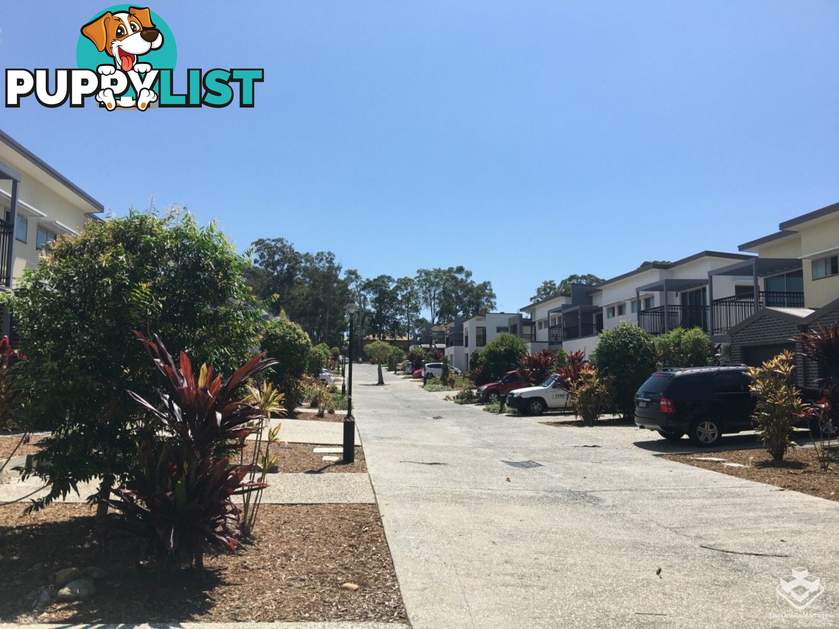 ID:21076340 177 Central Street Labrador QLD 4215