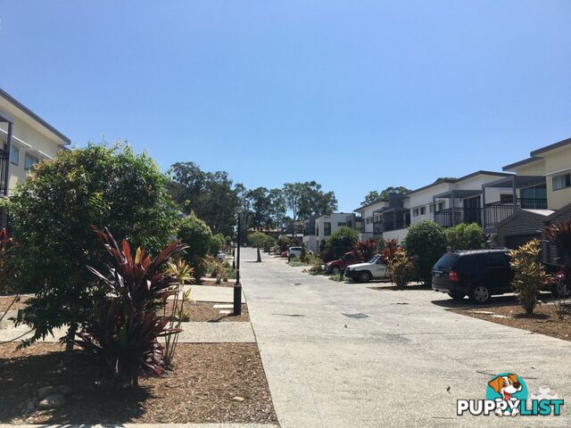 ID:21076340 177 Central Street Labrador QLD 4215
