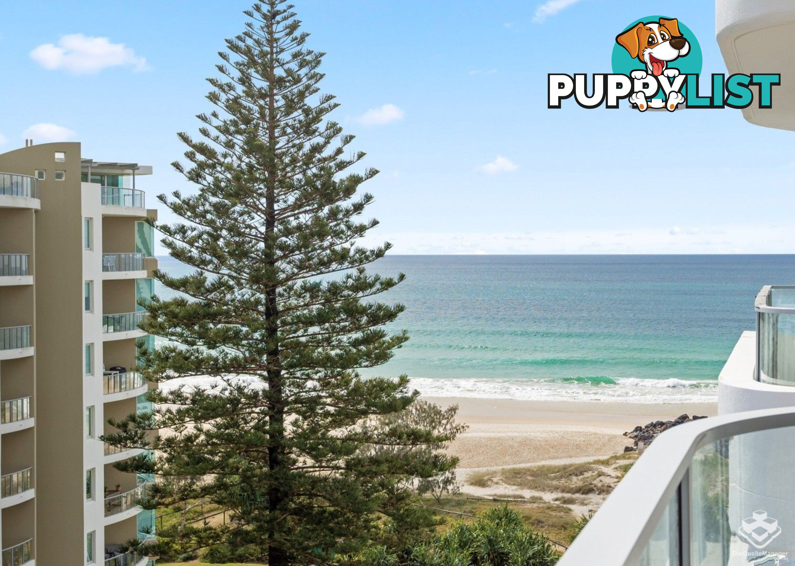 805/4 Twenty First Avenue Palm Beach QLD 4221