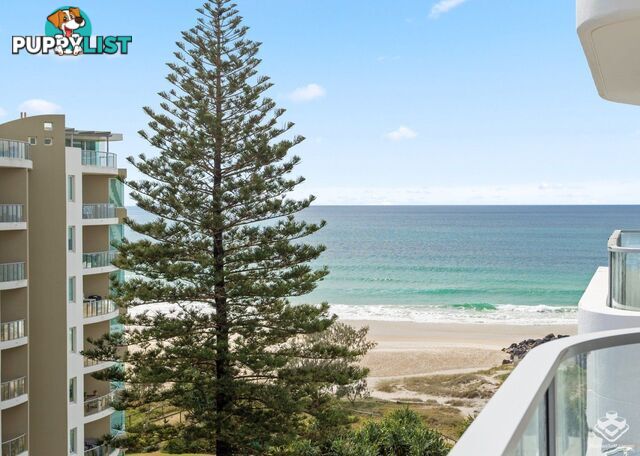 805/4 Twenty First Avenue Palm Beach QLD 4221