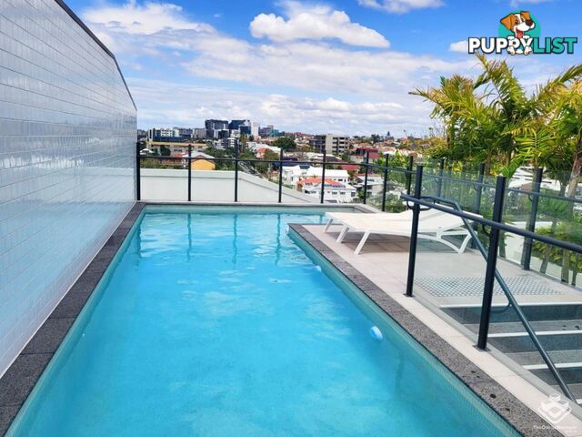 302/77 Jane Street West End QLD 4101