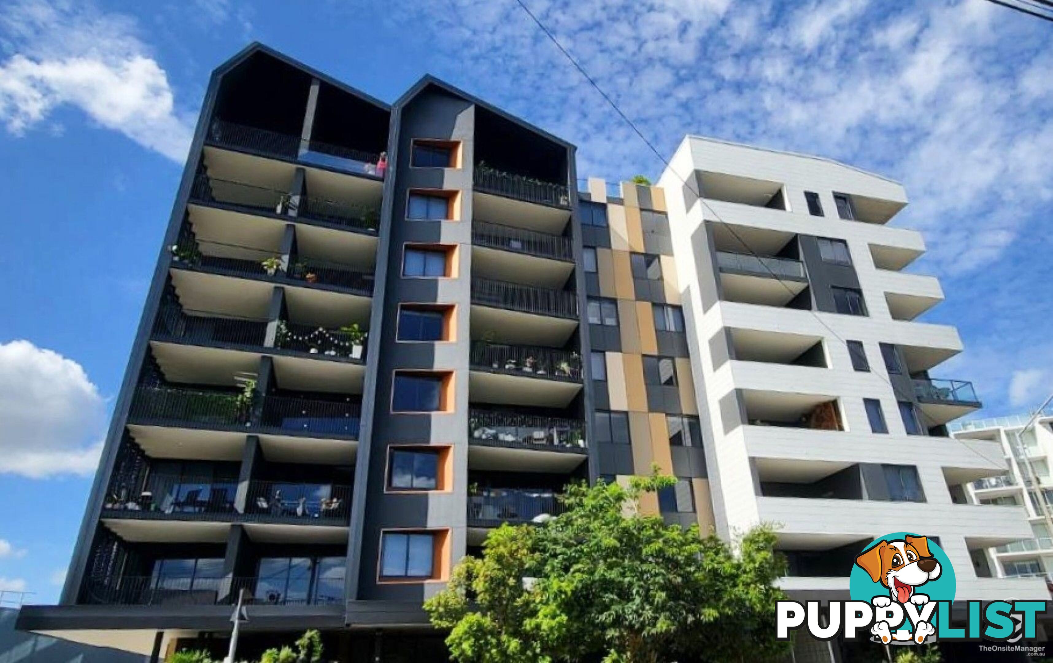 302/77 Jane Street West End QLD 4101