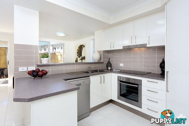 ID:21148126 63 Tremain Street Tingalpa QLD 4173