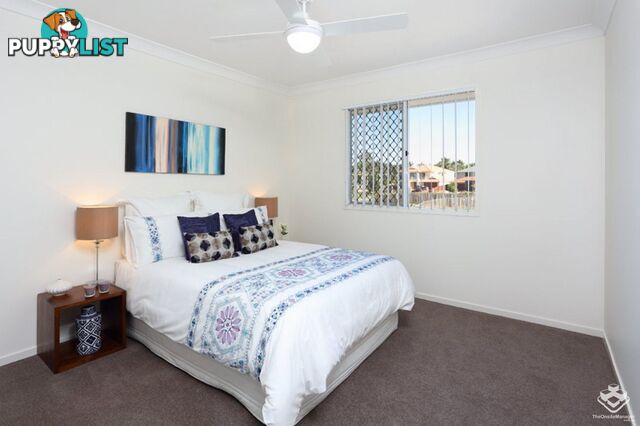 ID:21148126 63 Tremain Street Tingalpa QLD 4173