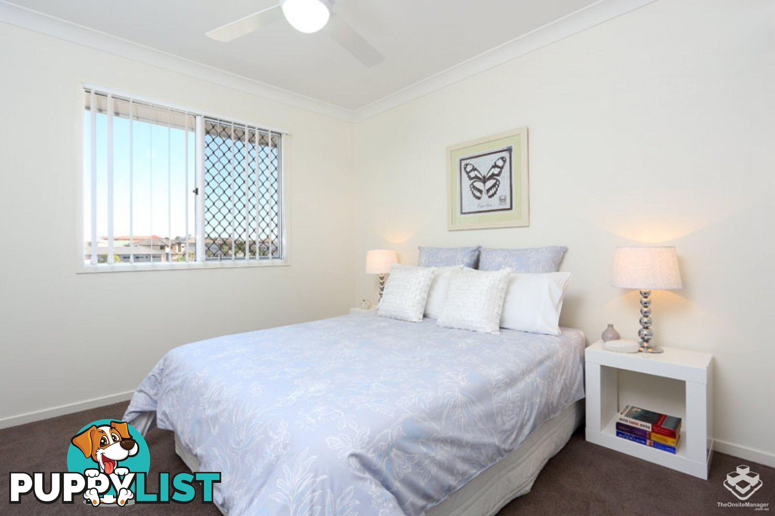 ID:21148126 63 Tremain Street Tingalpa QLD 4173