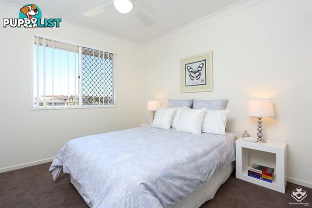 ID:21148126 63 Tremain Street Tingalpa QLD 4173