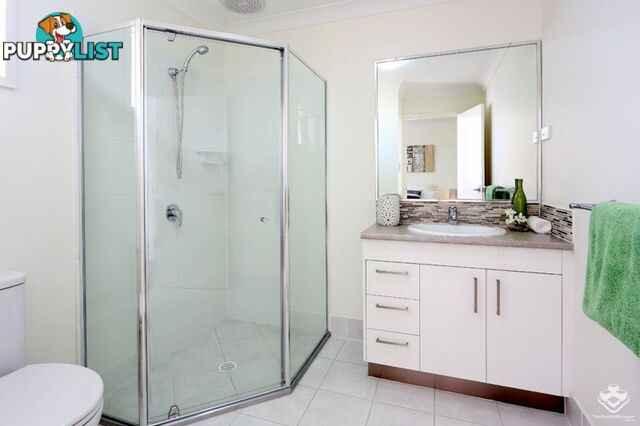 ID:21148126 63 Tremain Street Tingalpa QLD 4173