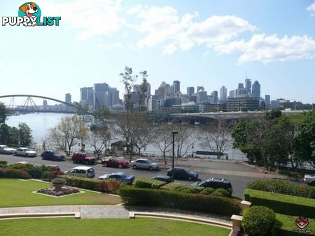 ID:3897153/10 Lower River Terrace South Brisbane QLD 4101