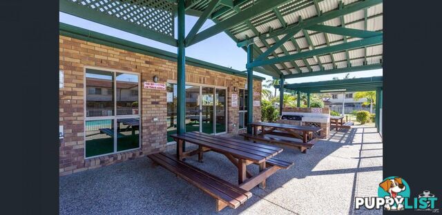 ID:21153655 9 Bayside Court Thorneside QLD 4158