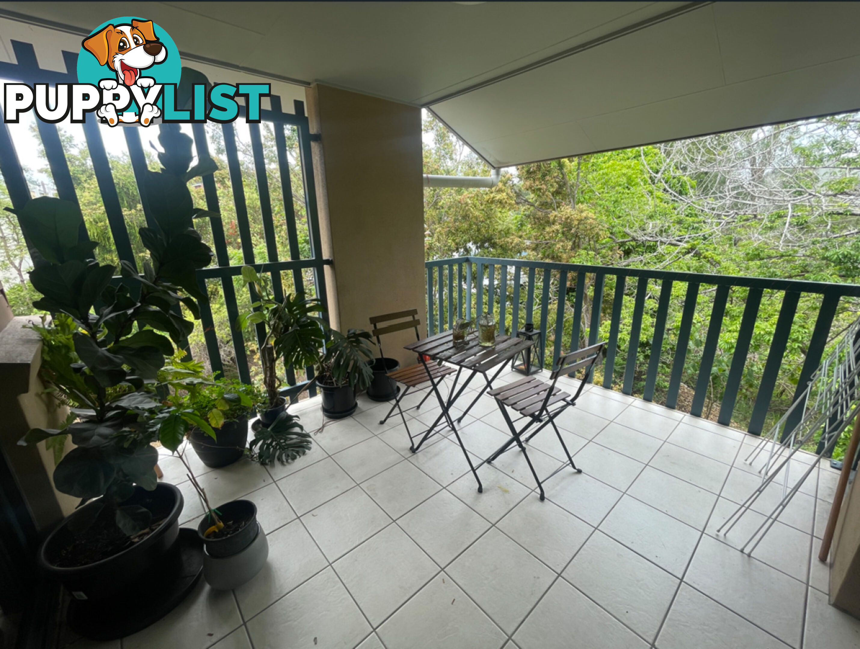 ID:21135695 38 Palmer Street Greenslopes QLD 4120