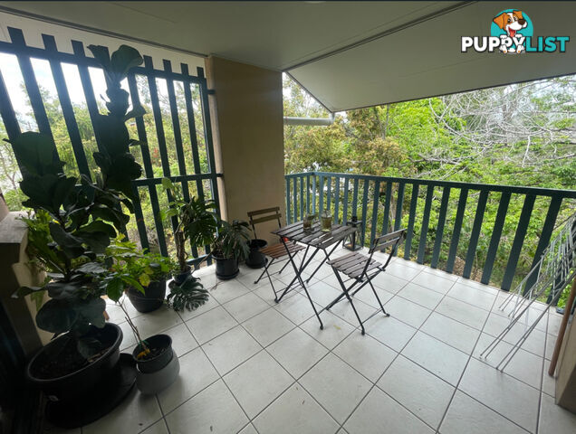 ID:21135695 38 Palmer Street Greenslopes QLD 4120
