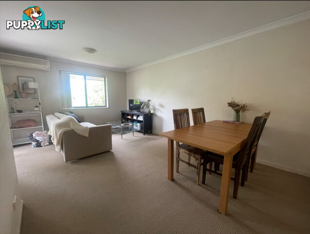 ID:21135695 38 Palmer Street Greenslopes QLD 4120