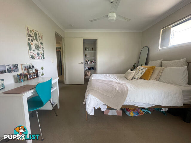 ID:21135695 38 Palmer Street Greenslopes QLD 4120