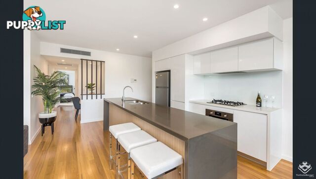 ID:21154333 56 Bellevue Terrace St Lucia QLD 4067