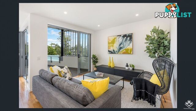 ID:21154333 56 Bellevue Terrace St Lucia QLD 4067