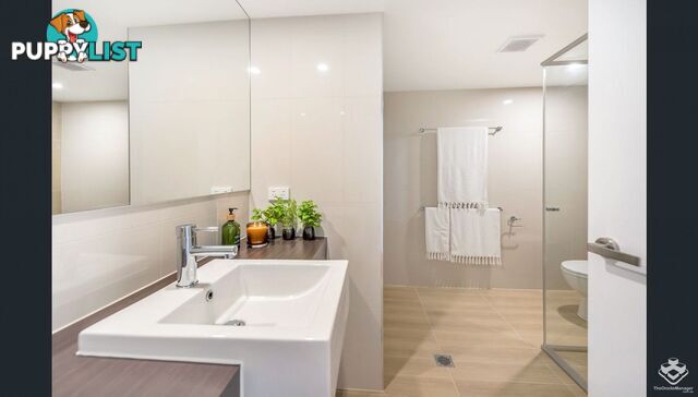 ID:21154333 56 Bellevue Terrace St Lucia QLD 4067