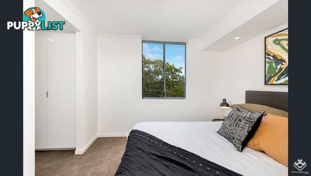 ID:21154333 56 Bellevue Terrace St Lucia QLD 4067