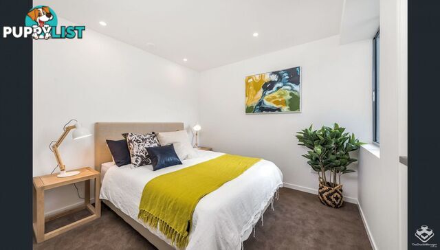 ID:21154333 56 Bellevue Terrace St Lucia QLD 4067