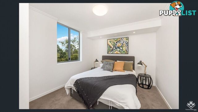 ID:21154333 56 Bellevue Terrace St Lucia QLD 4067