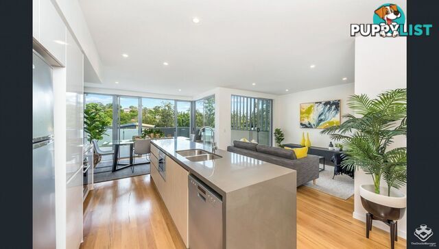 ID:21154333 56 Bellevue Terrace St Lucia QLD 4067