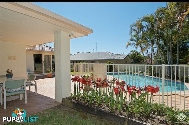 9 Fitzalan Circuit Arundel QLD 4214