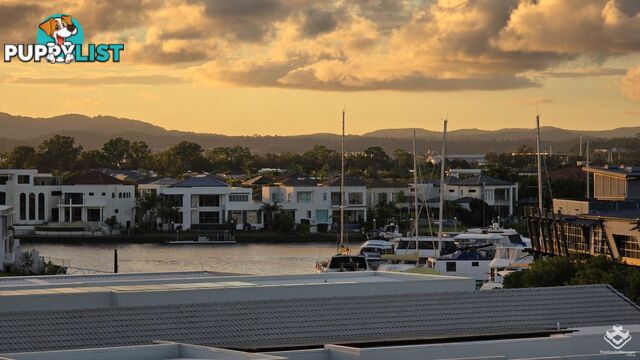 5350/53 Harbourview Drive Hope Island QLD 4212
