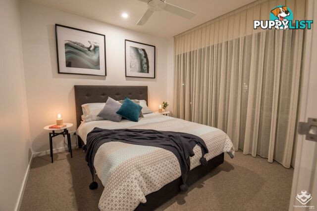 ID:21154642 25 Onslow Street Ascot QLD 4007