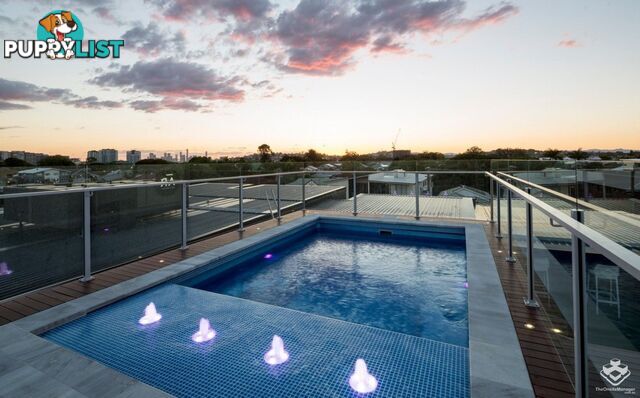 ID:21154642 25 Onslow Street Ascot QLD 4007