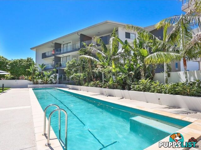 ID:3897151/24 Allwood Street Indooroopilly QLD 4068