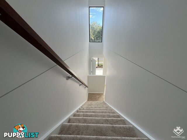 2/103 Sheehan Avenue Hope Island QLD 4212