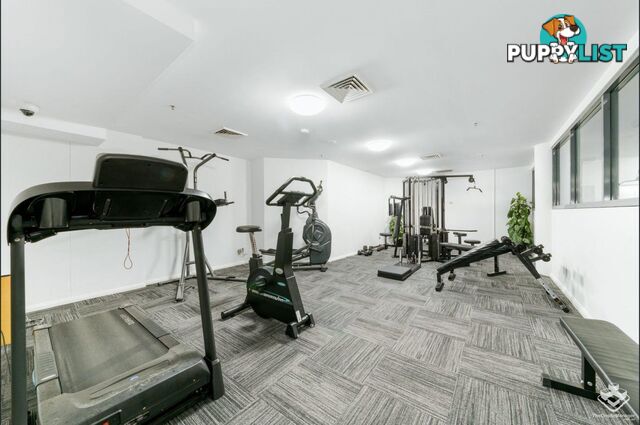 49/6-10 Romsey Street Waitara NSW 2077