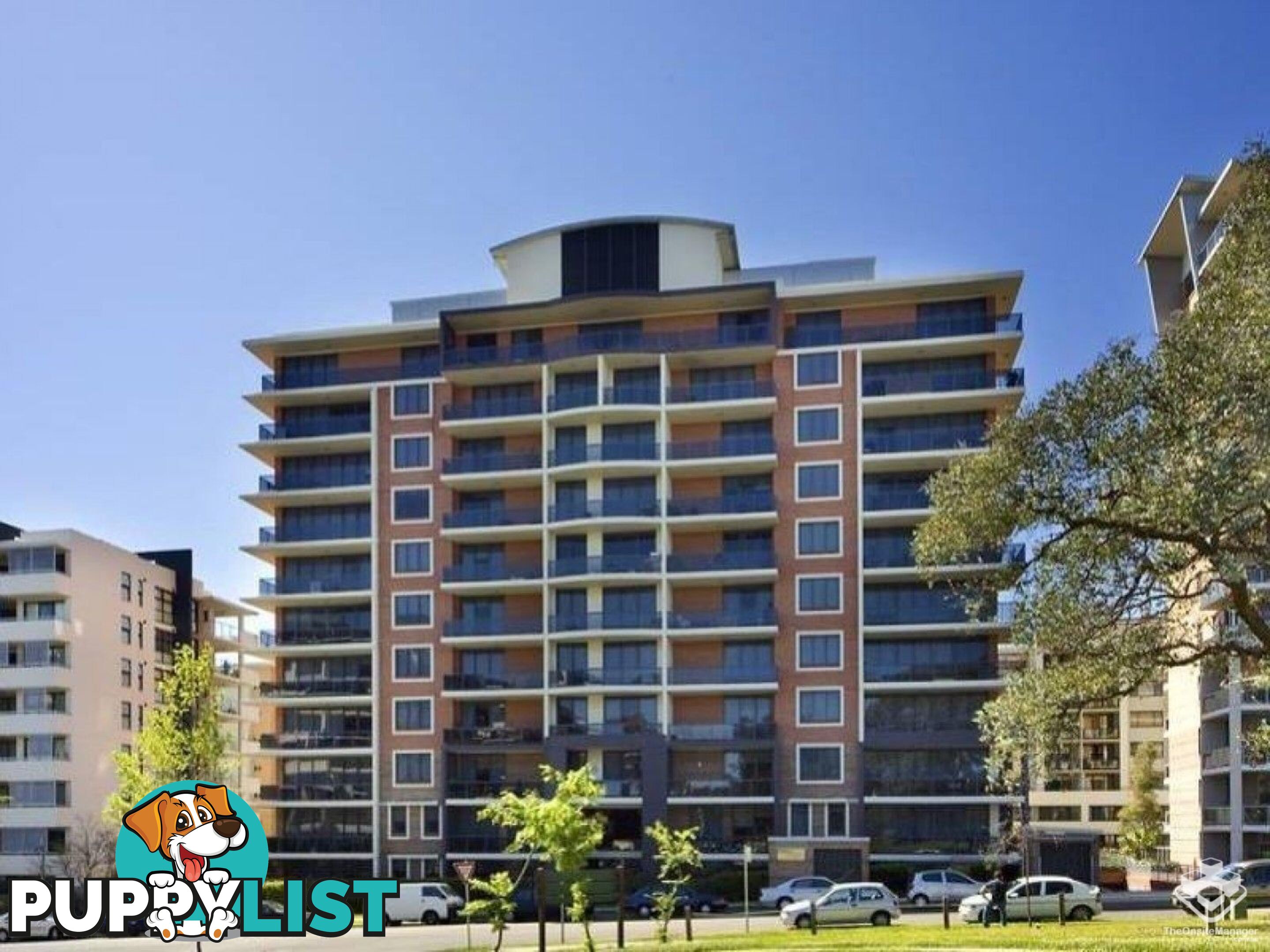 49/6-10 Romsey Street Waitara NSW 2077