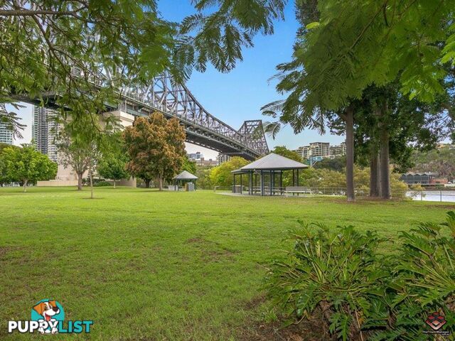 ID:3897285/1 Holman Street Kangaroo Point QLD 4169