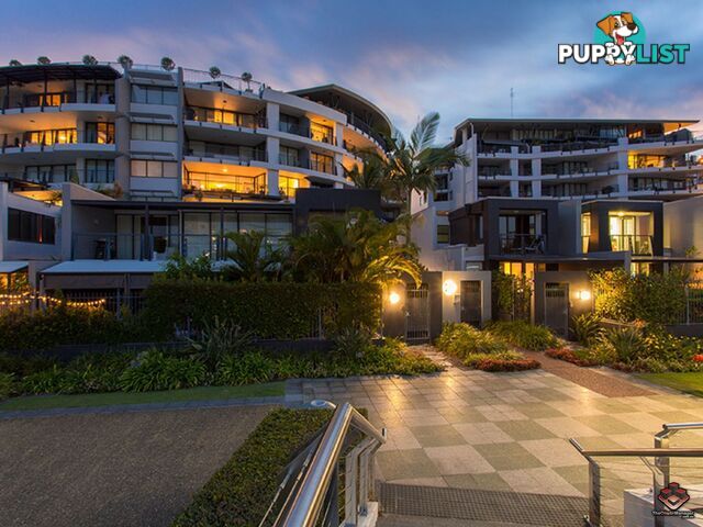 ID:3897285/1 Holman Street Kangaroo Point QLD 4169