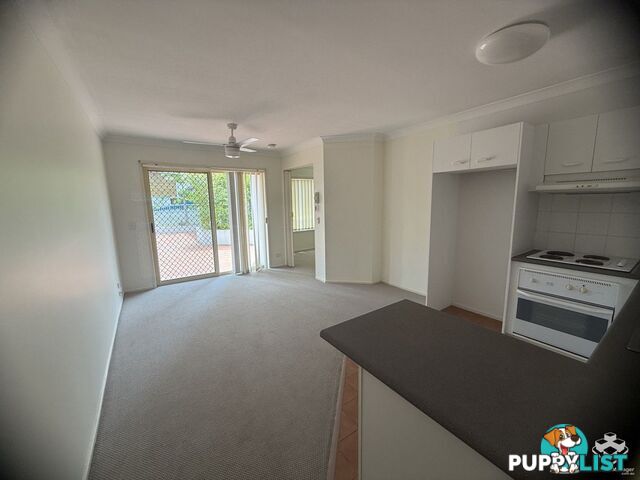 8/3-5 Barranbali Street Surfers Paradise QLD 4217