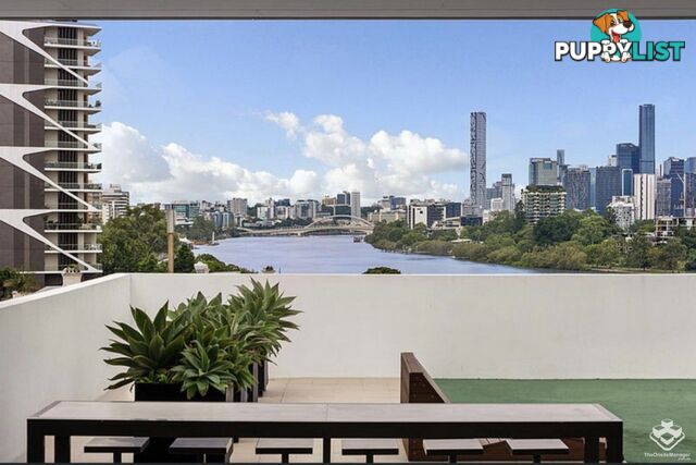 ID:21157647 573 Coronation Drive Toowong QLD 4066