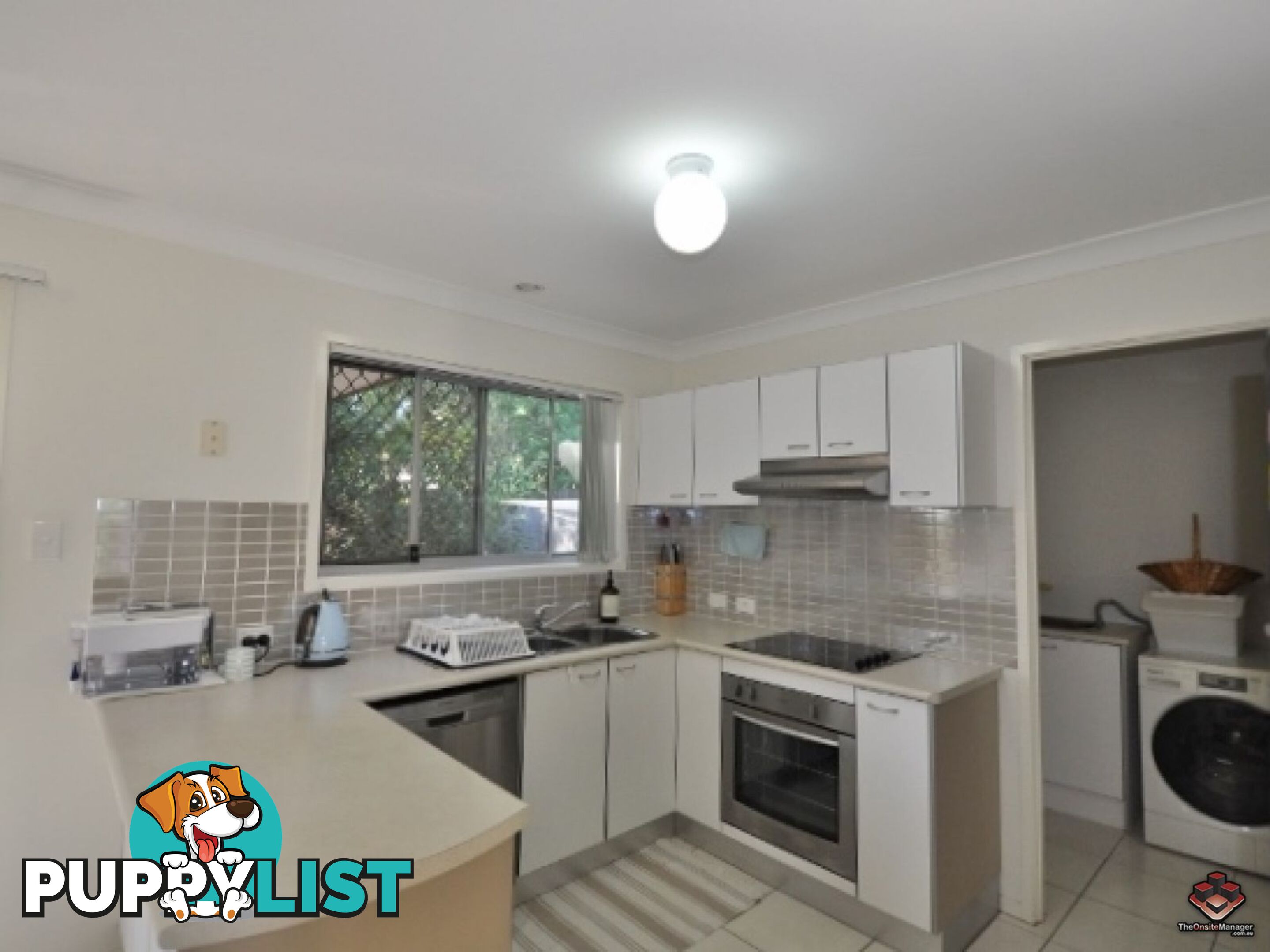 ID:3897859/130 Jutland Street Oxley QLD 4075