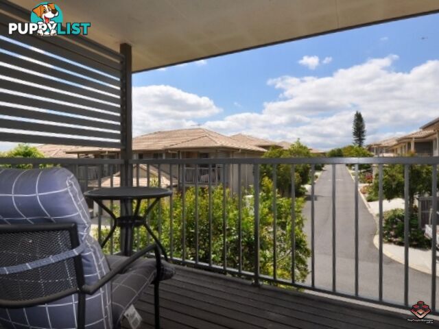 ID:3897859/130 Jutland Street Oxley QLD 4075