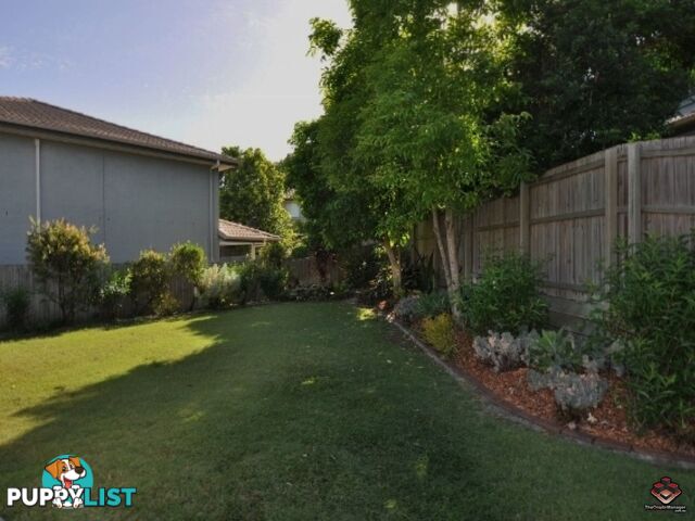 ID:3897859/130 Jutland Street Oxley QLD 4075