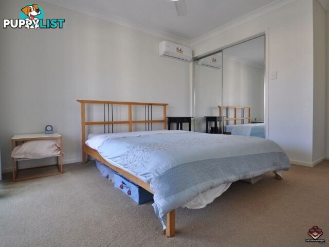 ID:3897859/130 Jutland Street Oxley QLD 4075