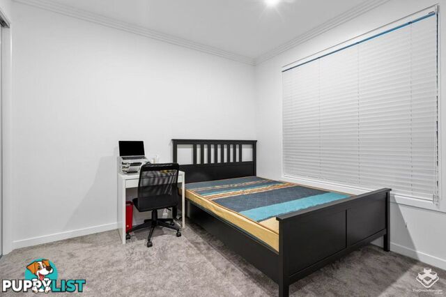 10 Erathema Place Coopers Plains QLD 4108