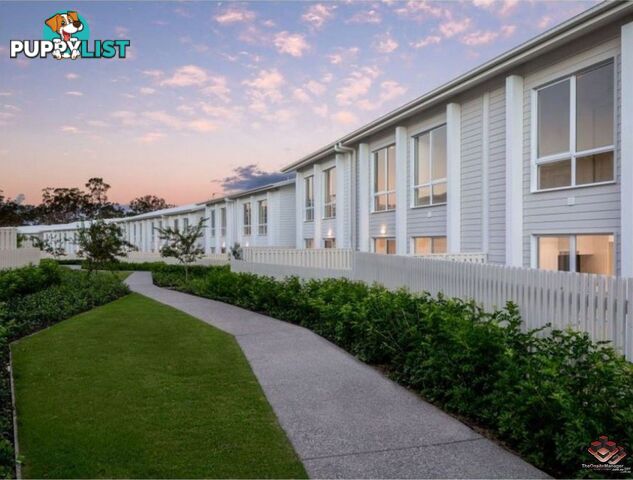 62 Hill Drive Pimpama QLD 4209