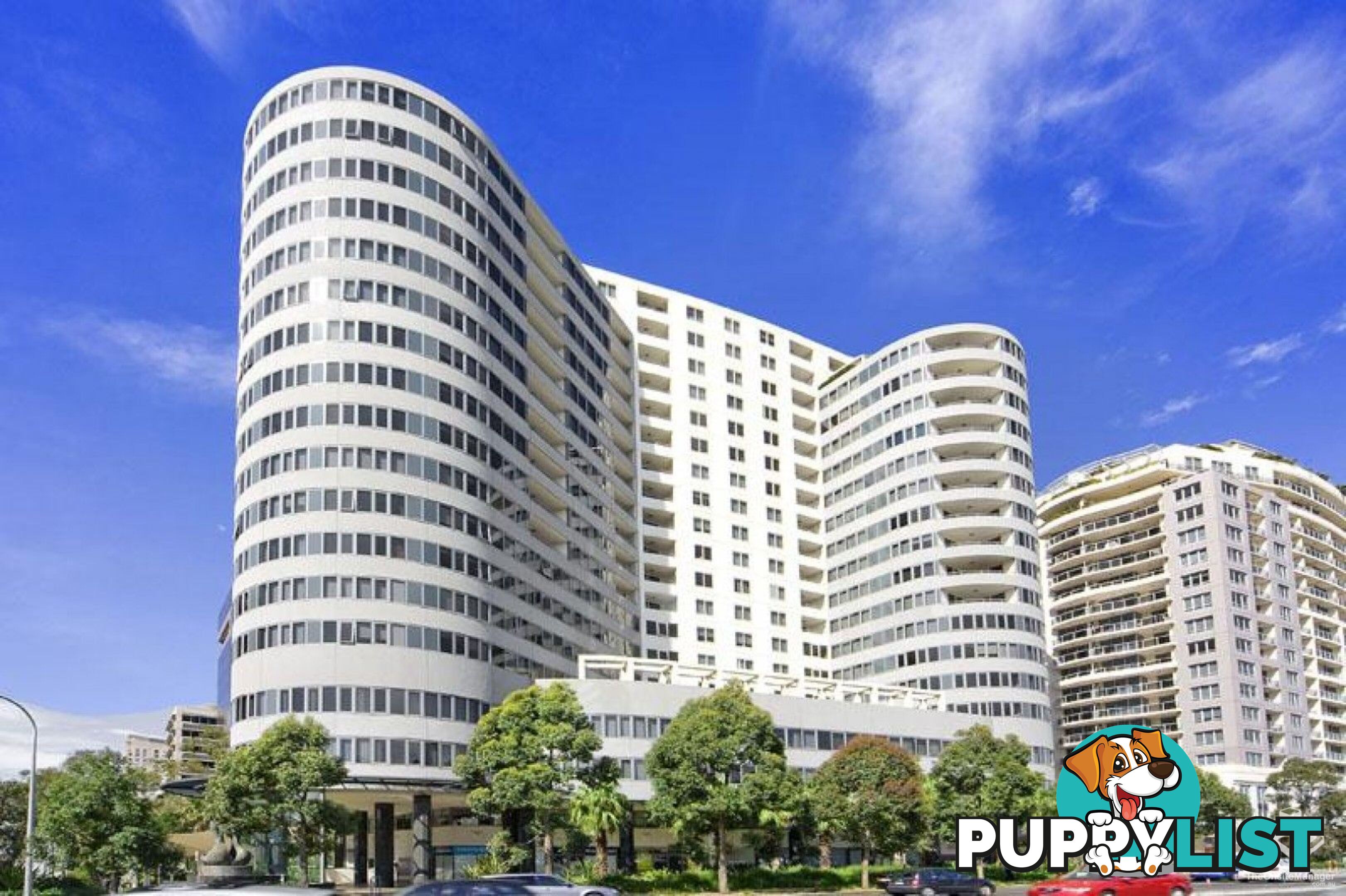 ID:21153837 14 Brown Street Chatswood NSW 2067