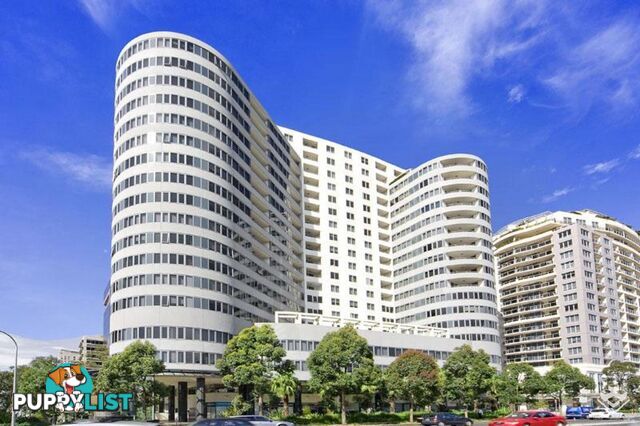 ID:21153837 14 Brown Street Chatswood NSW 2067