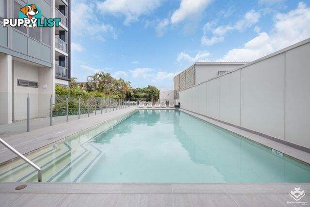 ID:21157593 16 Hamilton Place Bowen Hills QLD 4006