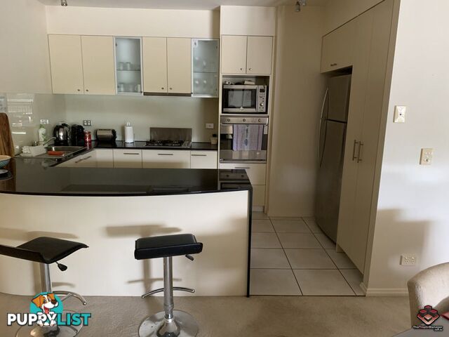 ID:3723728 1 Holman Street KANGAROO POINT QLD 4169