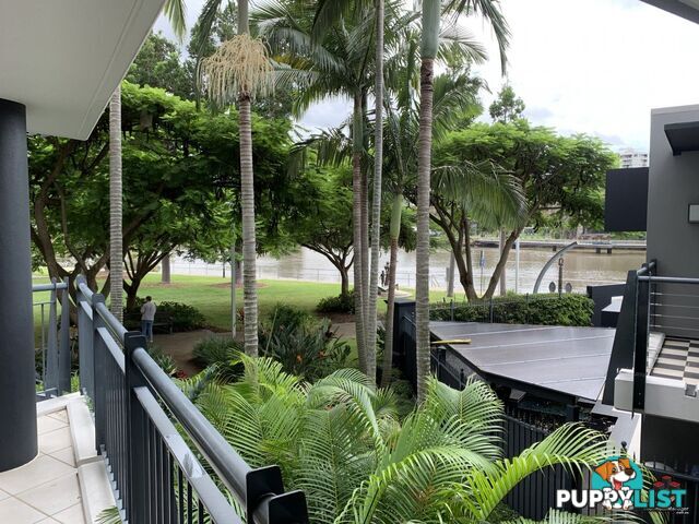 ID:3723728 1 Holman Street KANGAROO POINT QLD 4169