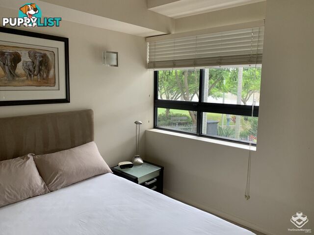 ID:3723728 1 Holman Street KANGAROO POINT QLD 4169