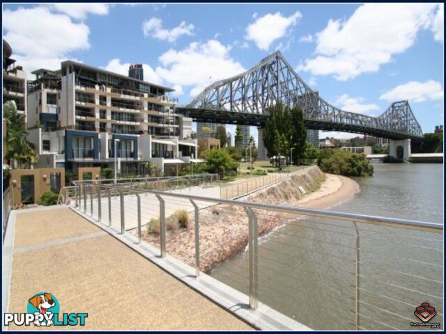 ID:3723728 1 Holman Street KANGAROO POINT QLD 4169