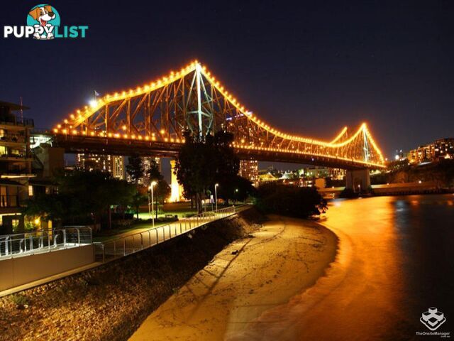 ID:3723728 1 Holman Street KANGAROO POINT QLD 4169